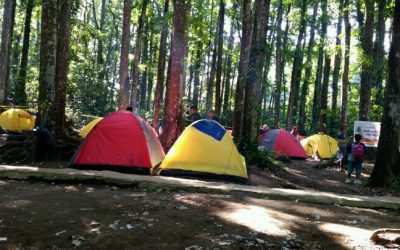 Capacity Building Bea Cukai 2017