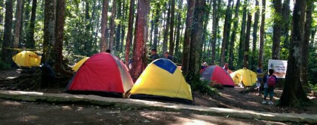 Capacity Building Bea Cukai 2017