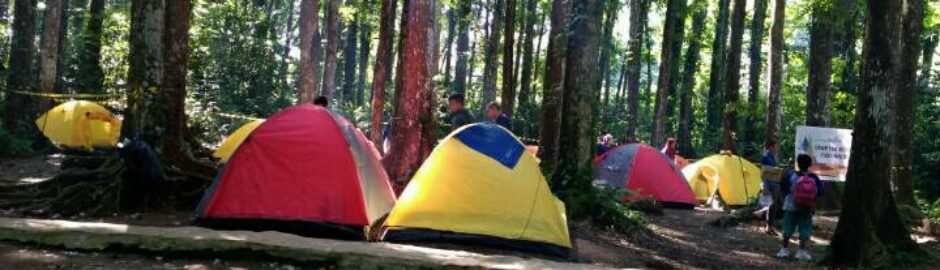 Capacity Building Bea Cukai 2017