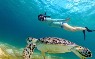 Snorkling Gili Trawangan by COS Indonesia