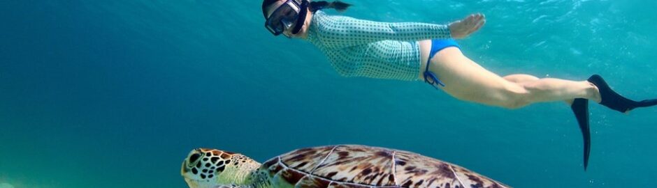 Snorkling Gili Trawangan by COS Indonesia