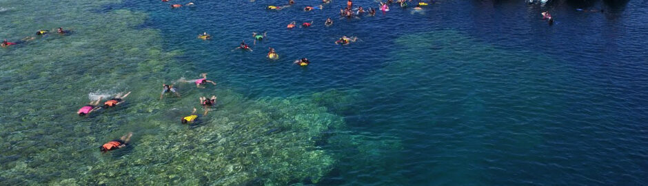 Pulau Menjangan by Langit Banyuwangi Tour 3