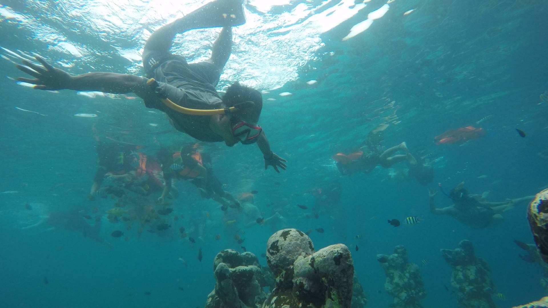 Snorkling Gili Trawangan by COS Indonesia